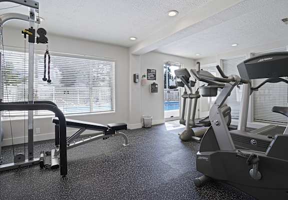 A gym with a variety of equipment including treadmills and weights.