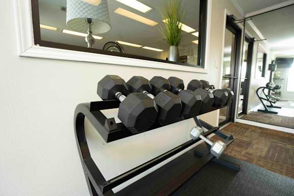 A set of dumbbells are on a bench in a room.