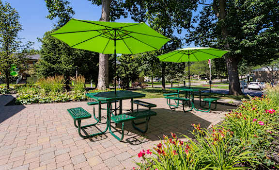 a picnic area with benches and umbrellas in a park