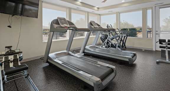 the gym is equipped with cardio equipment and a flat screen tv