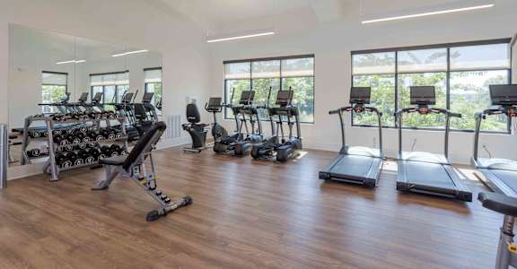 A gym with treadmills, elliptical machines, and weights.