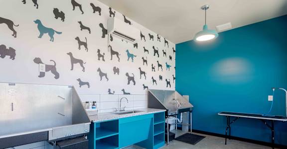 A kitchen with a blue wall and a white counter.