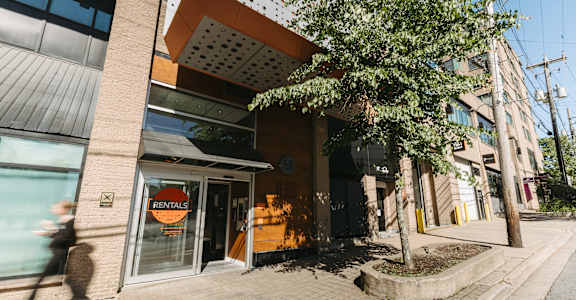 A tree in front of a building with a sign that says "RENTALS".
