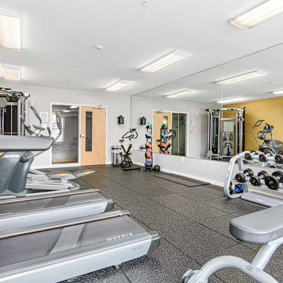 Spacious Gym with weights at Elements of Linden Hills, Minneapolis, MN, 55410