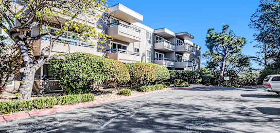A modern apartment building with a tree in front of it.
