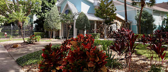 A house with a blue and white exterior is surrounded by trees and plants.