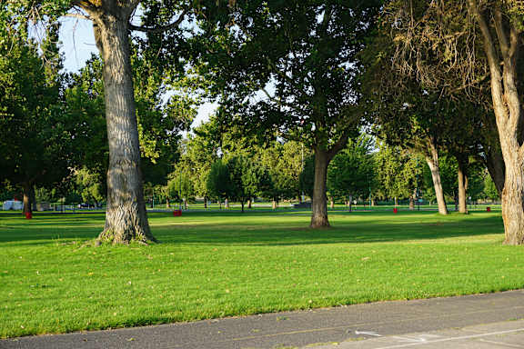A park with a grassy area and trees.