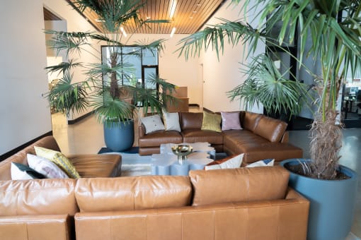 a living room with brown leather couches and plants
