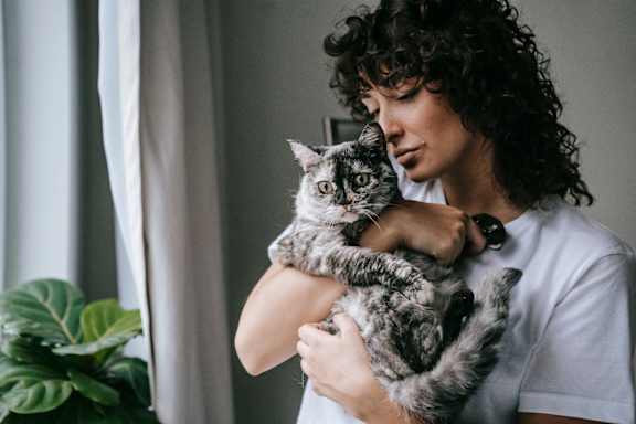 a man holding a cat in his arms