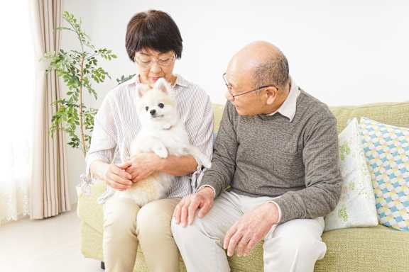 an older couple sitting on a couch holding a small white dog