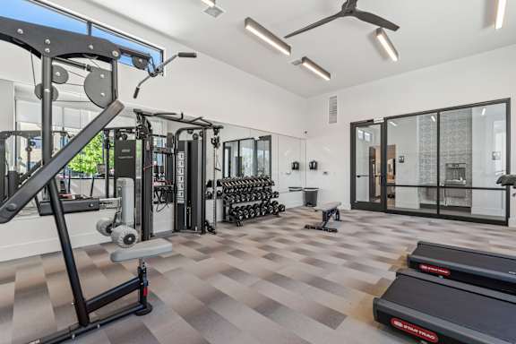 A gym with treadmills, weights, and exercise equipment.