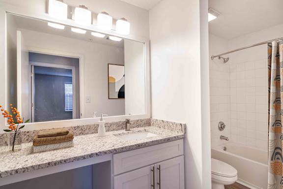 a bathroom with a sink and a shower and a mirror