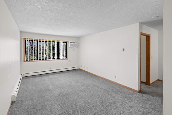 A room with a window covered by blinds and a carpet on the floor.