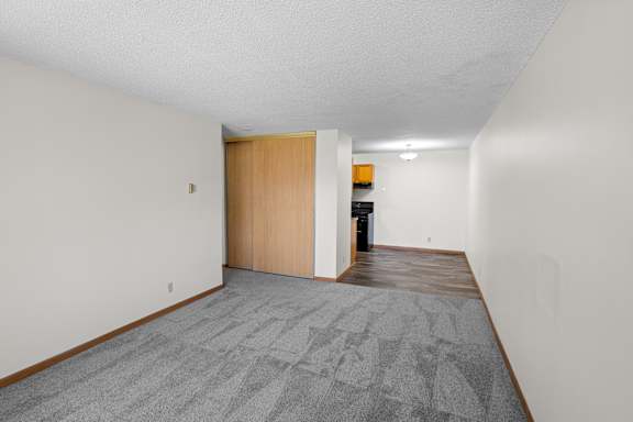 A hallway with a carpeted floor and a wooden door.