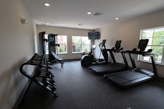 A gym with treadmills, elliptical machines, and a television.