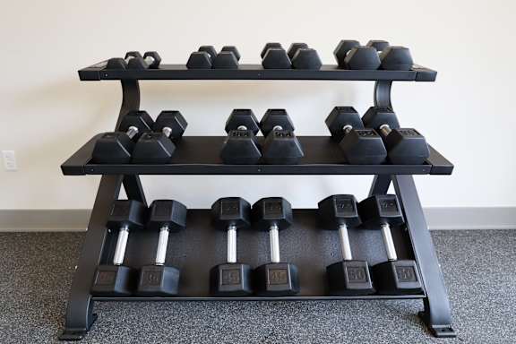 A black dumbbell rack with multiple dumbbells on it.