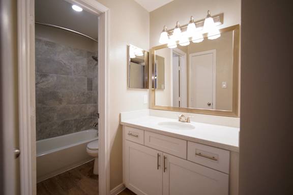 a bathroom with a sink and a shower and a mirror