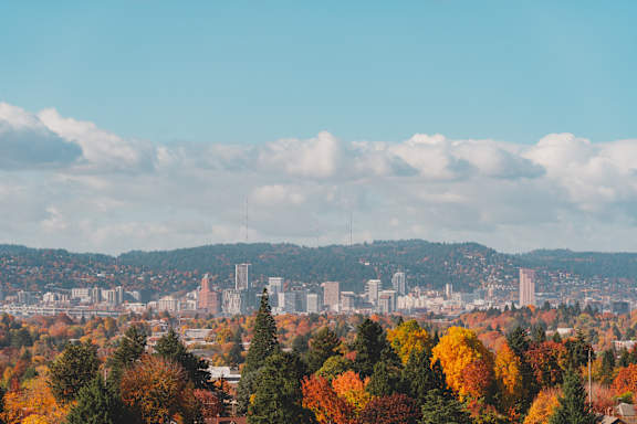 a view of the seattle skyline in the fall