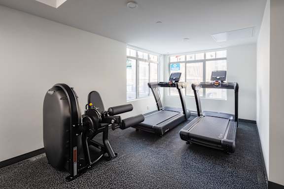 A gym with a row of treadmills and a row of exercise bikes.