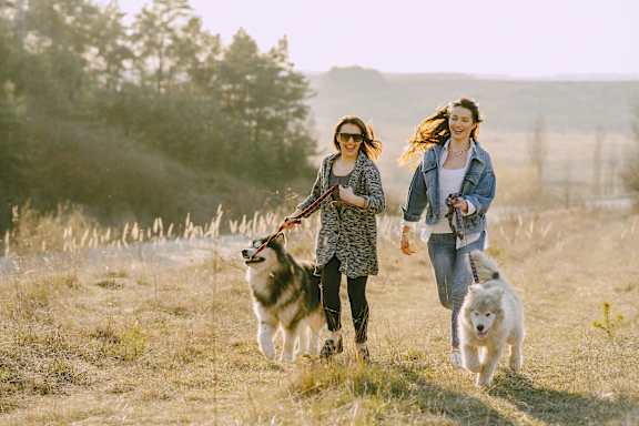two women walking two dogs in a field