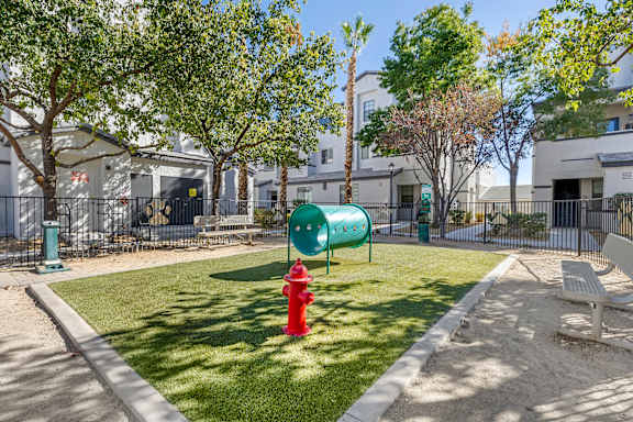 The Michael B is proud to unveil our newly renovated dog park, a perfect space for your furry friends to play and socialize.