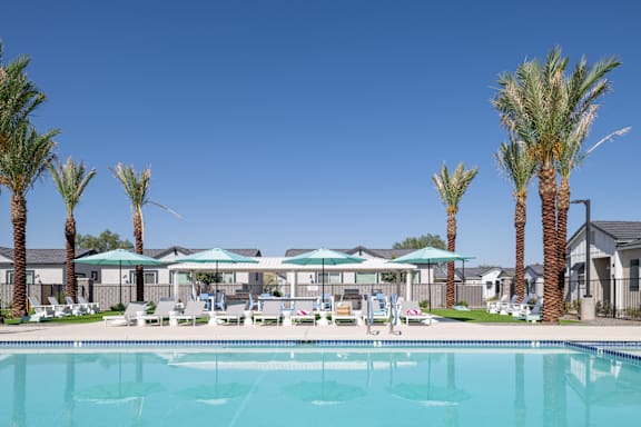 A swimming pool surrounded by palm trees and sun loungers.