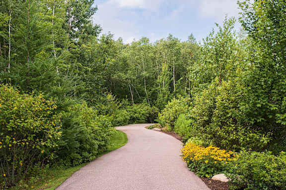 A curvy pathway surrounded by greenery and trees.