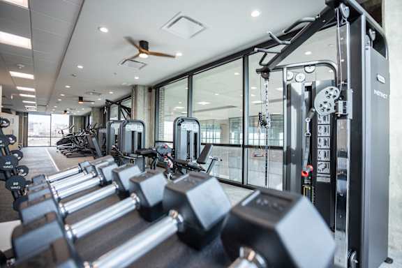 A gym with a row of dumbbells in the foreground.