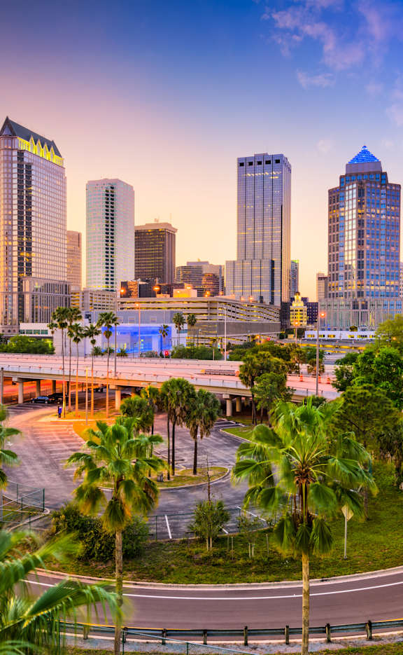 A cityscape with palm trees and a sunset in the background.