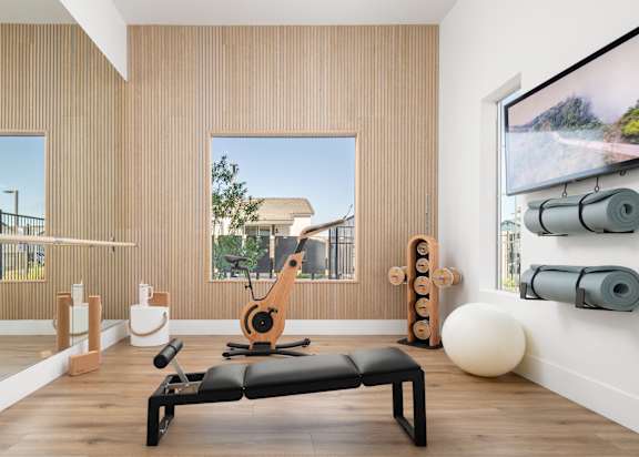 A gym room with a row of exercise balls and a row of foam rollers on the wall.