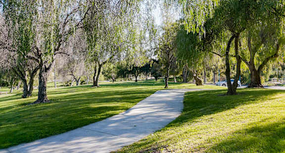a path through a park with trees and grass