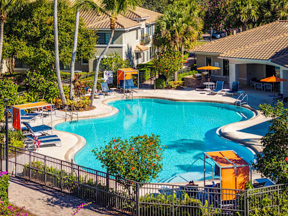 A pool surrounded by palm trees and a fence.