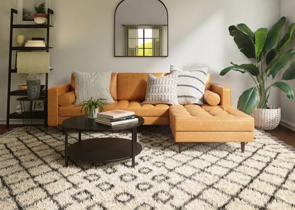 Living Room with Large Rug and Plants