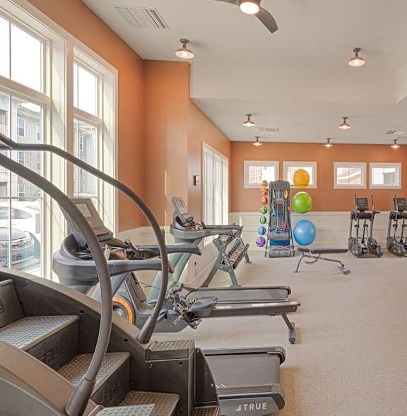 A gym with treadmills, elliptical machines, and other exercise equipment.