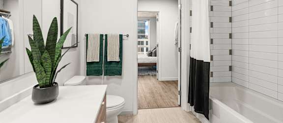 A bathroom with a white countertop and a green rug.
