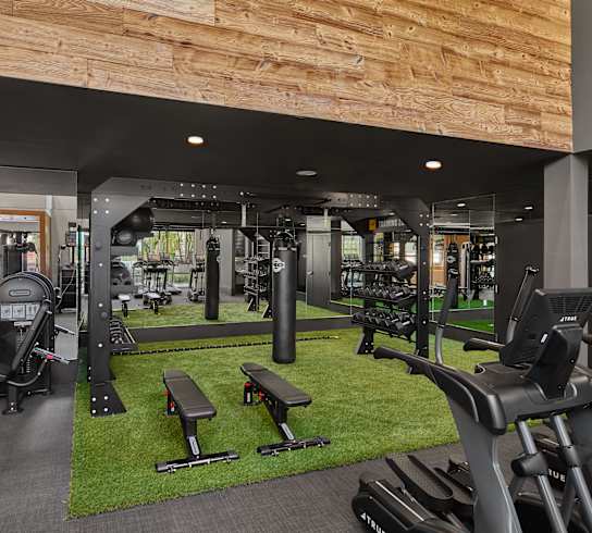 a gym with treadmills and other exercise equipment on a green rug