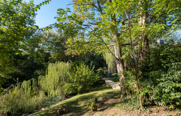 a view of the garden from the side of the house