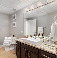 a bathroom with a toilet and a sink and a mirror