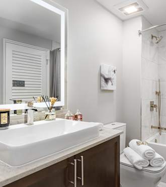 a bathroom with a sink and a shower and a mirror at Park Heights by the Lake Apartments, Illinois, 60649