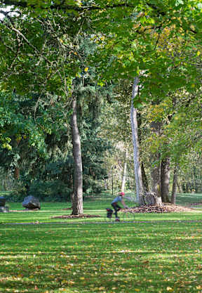 people running in a park with trees