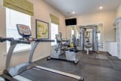 Thumbnail 8 of 15 - fitness center treadmill, weighted machines