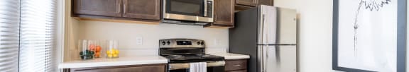 Long picture of flowers, Beecher Terrace Apartments, Louisville, KY