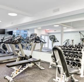 a gym with cardio machines and weights on the floor