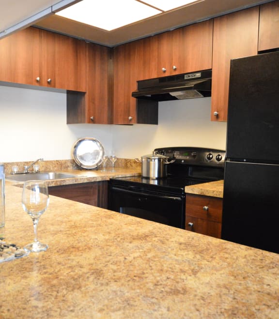 a kitchen with a granite counter top and black appliances