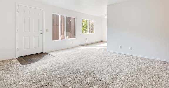 A white room with a carpeted floor and a door.