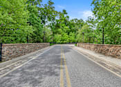 Thumbnail 40 of 54 - A road with a yellow line in the middle and trees on both sides.
