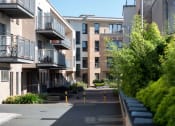 Thumbnail 2 of 7 - our apartments are located in a quiet neighborhood with trees and bushes