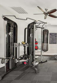 A well-equipped gym with a variety of machines and weights.