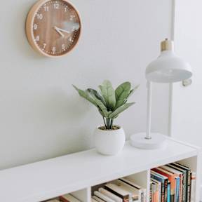 A white shelf with a plant, books, a clock, and a lamp.