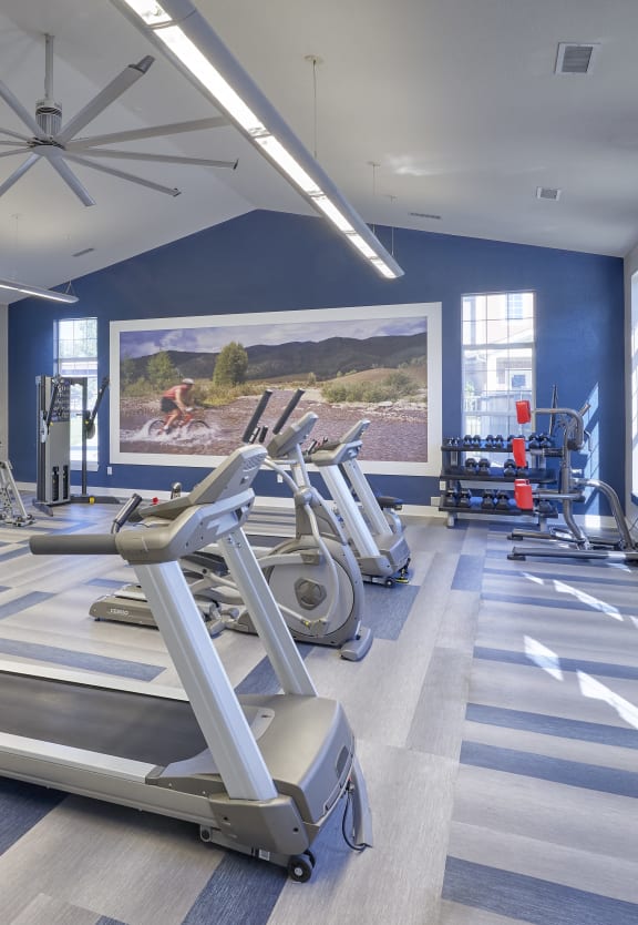 24 hour fitness center
